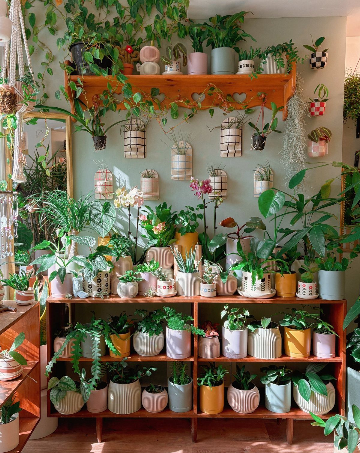 House Plant Pots: 21 Ideas in Ceramic, Terracotta and Metal 1 Various house plants in decorative ceramic and terracotta pots on wooden shelving units.