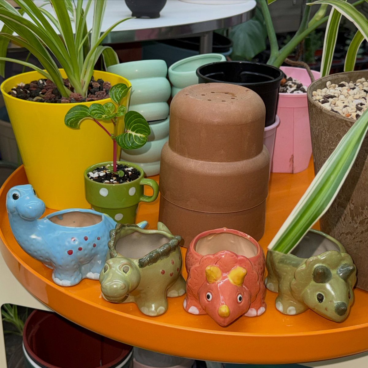 House Plant Pots: 21 Ideas in Ceramic, Terracotta and Metal 18 Dinosaur-shaped ceramic planters in various colors sitting on an orange table with other pots.
