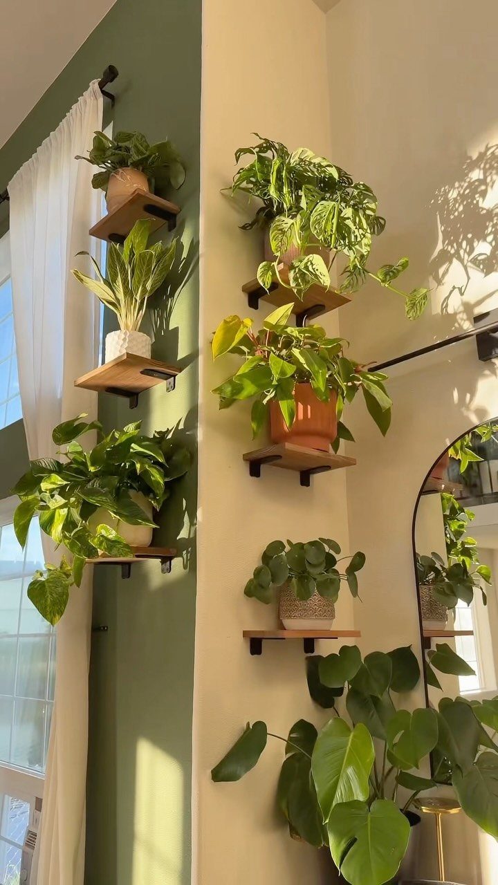 23 Cool House Items for Walls, Shelves, Desks, and Baths 10 Wooden floating shelves mounted on a wall holding various potted green houseplants.