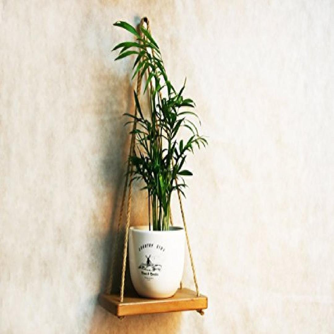 38 Flower Pot on Stand Ideas, from Iron Frames to Pedestals 34 Green plant in white pot on a small hanging wooden shelf