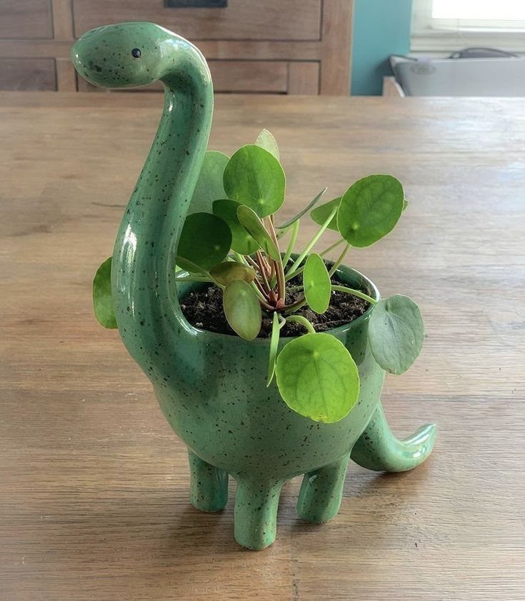 Green ceramic dinosaur plant pot with a small green plant on a wooden table.