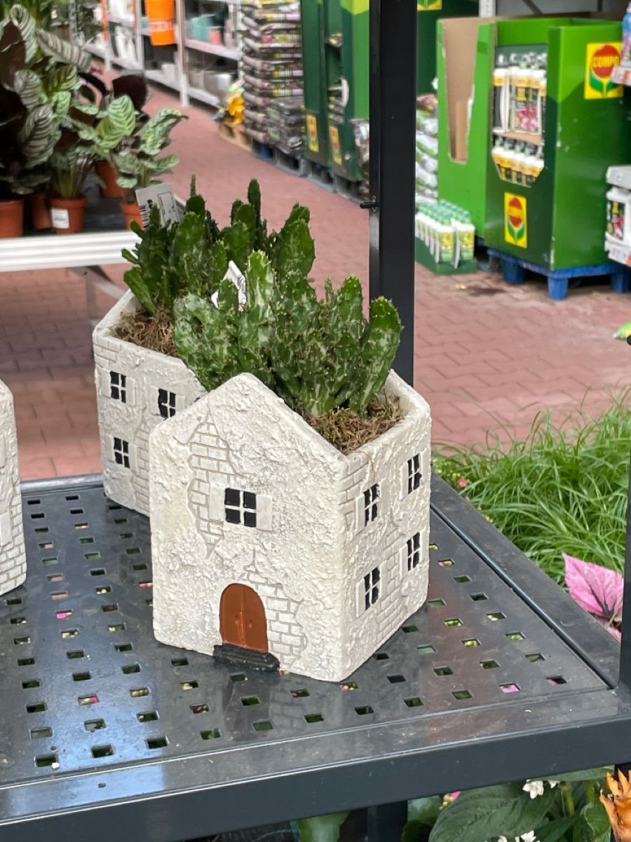 House Plant Pots: 21 Ideas in Ceramic, Terracotta and Metal 3 House-shaped stone planters with green succulents on a black metal shelf.
