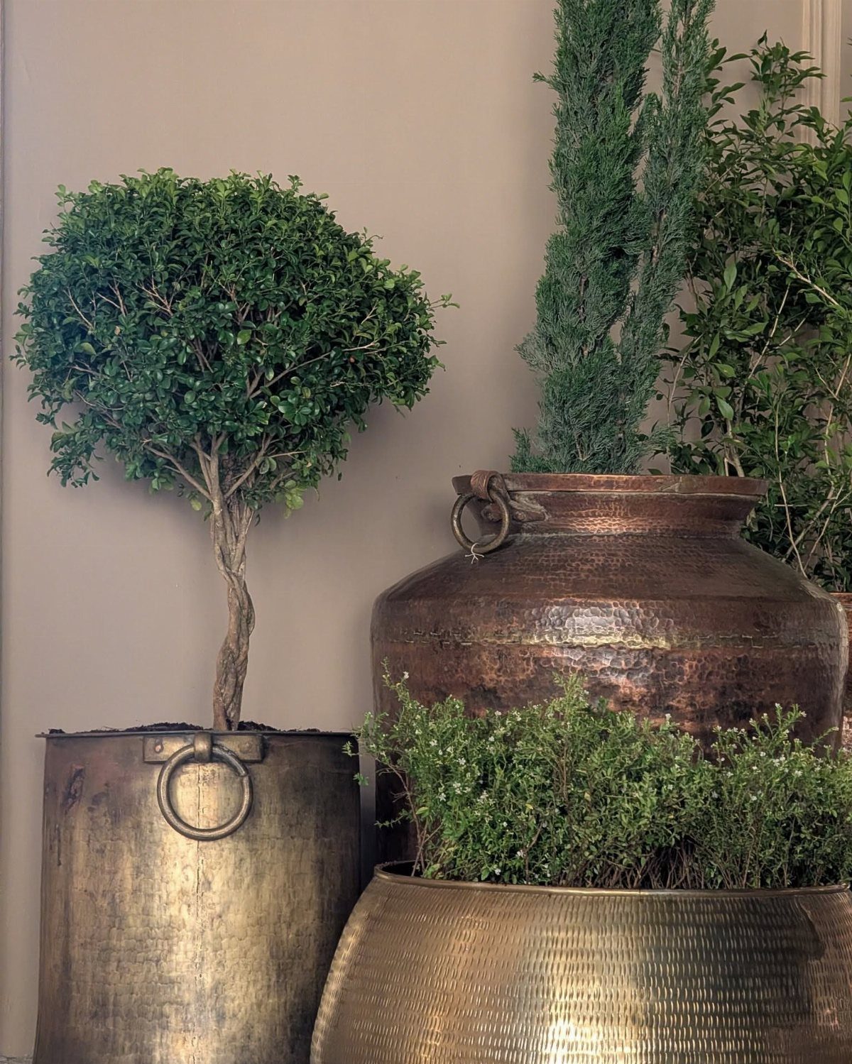 House Plant Pots: 21 Ideas in Ceramic, Terracotta and Metal 19 Green plants in large, weathered metal planters of silver, copper, and brass tones.