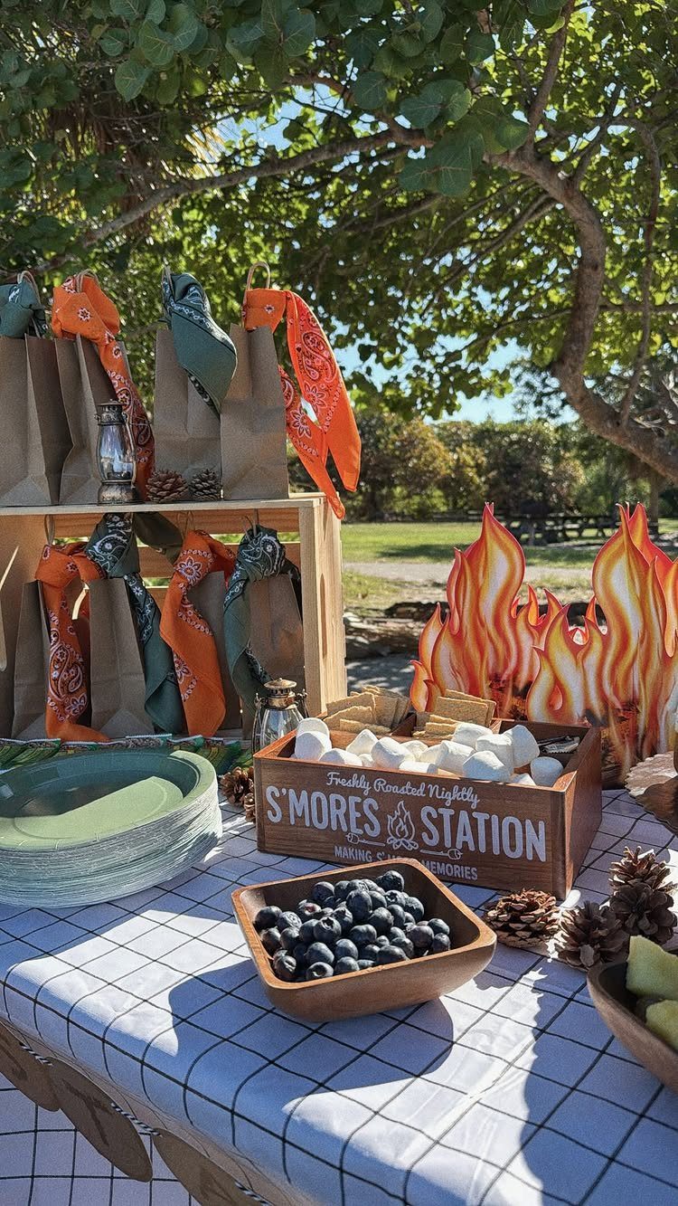 Outdoor party table with s'mores station, blueberries, and bandanas under a green tree.