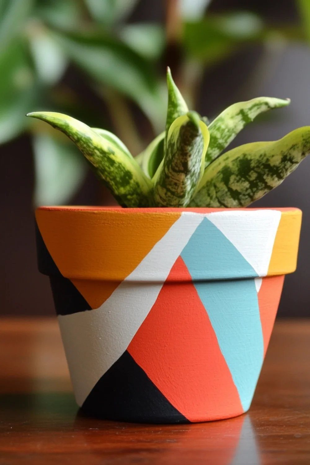 House Plant Pots: 21 Ideas in Ceramic, Terracotta and Metal 12 Variegated green plant in a terracotta pot painted with colorful geometric shapes.