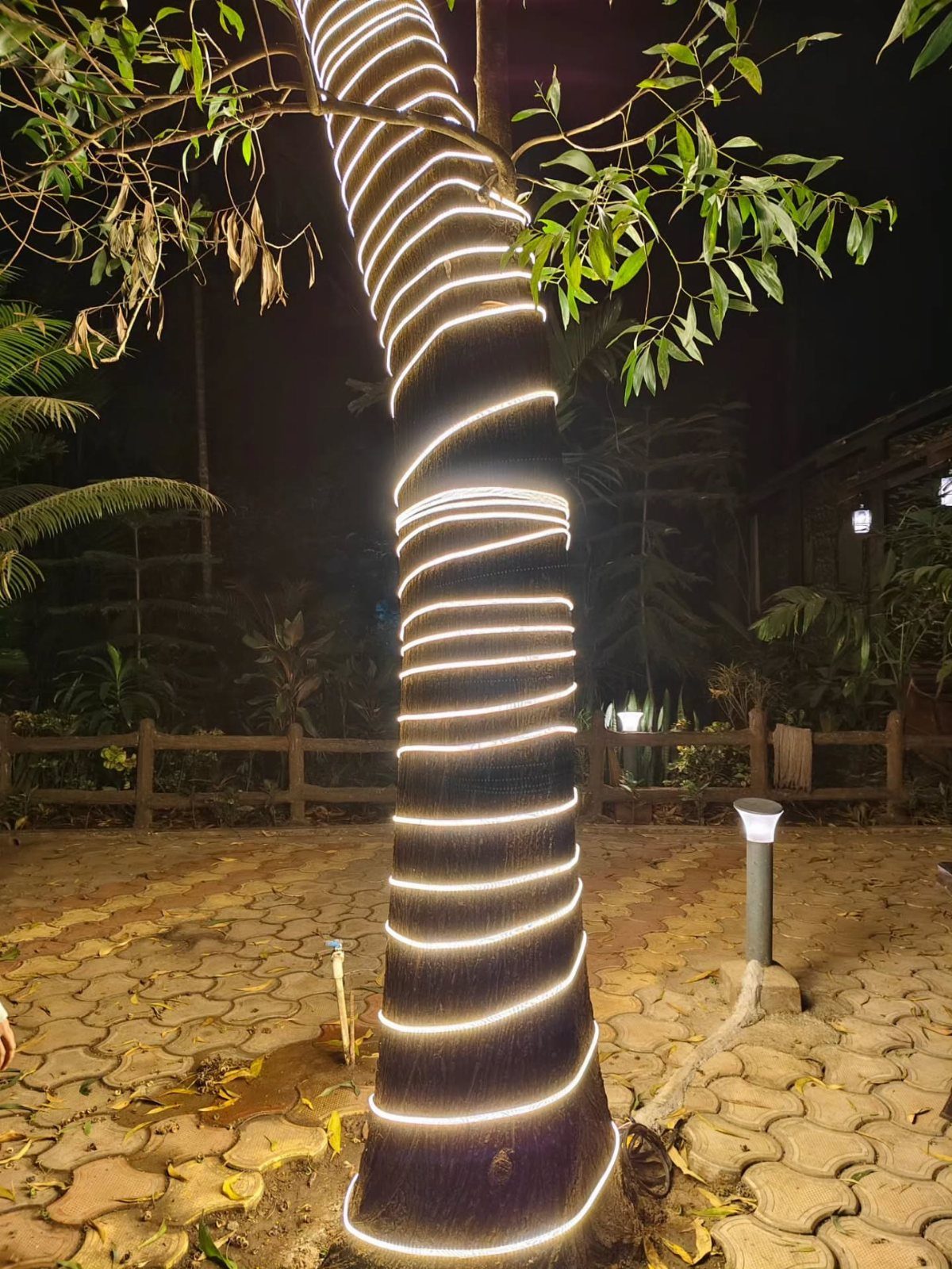 13 Rope Lighting Ideas Outdoor for Decks, Steps and Fences 12 Palm tree trunk wrapped in glowing white spiral rope lights at night.