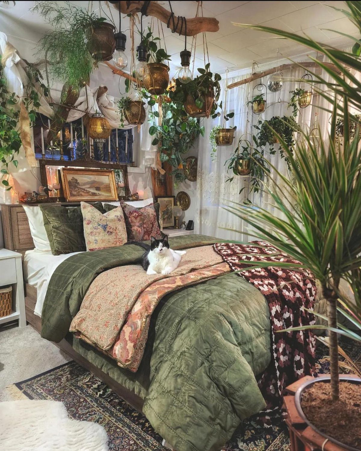 Bedroom with green bedding, a cat, and many hanging plants in gold pots.