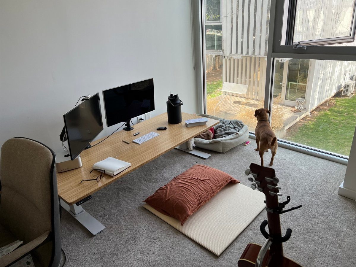 13 Double Monitor Desk Setup Aesthetic Ideas That Work 7 Two monitors on a light wood standing desk next to a large window.